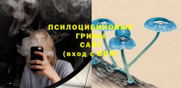 хмурый Бородино