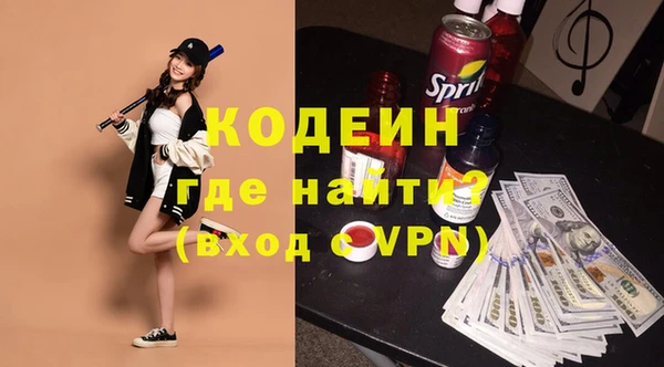 хмурый Бородино