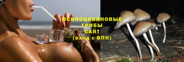 хмурый Бородино