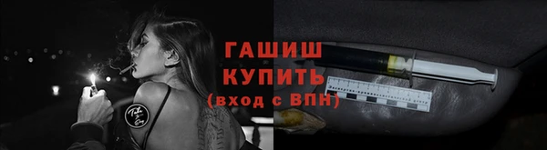 хмурый Бородино