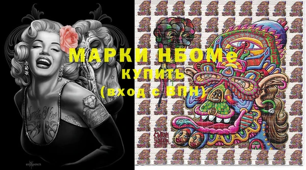 хмурый Бородино