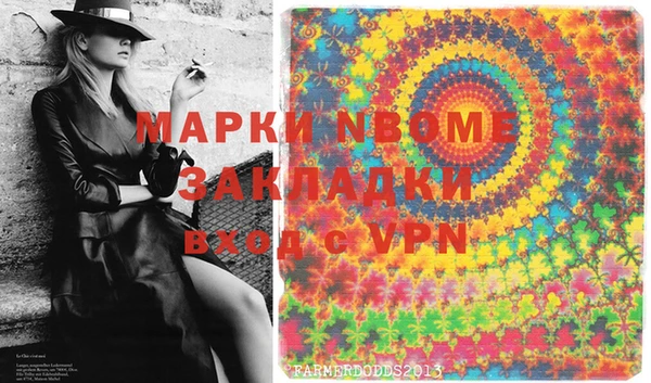 хмурый Бородино